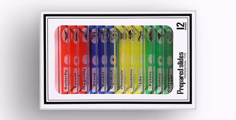 跳蚤在显微镜下长什么样,把显微镜放大40亿倍