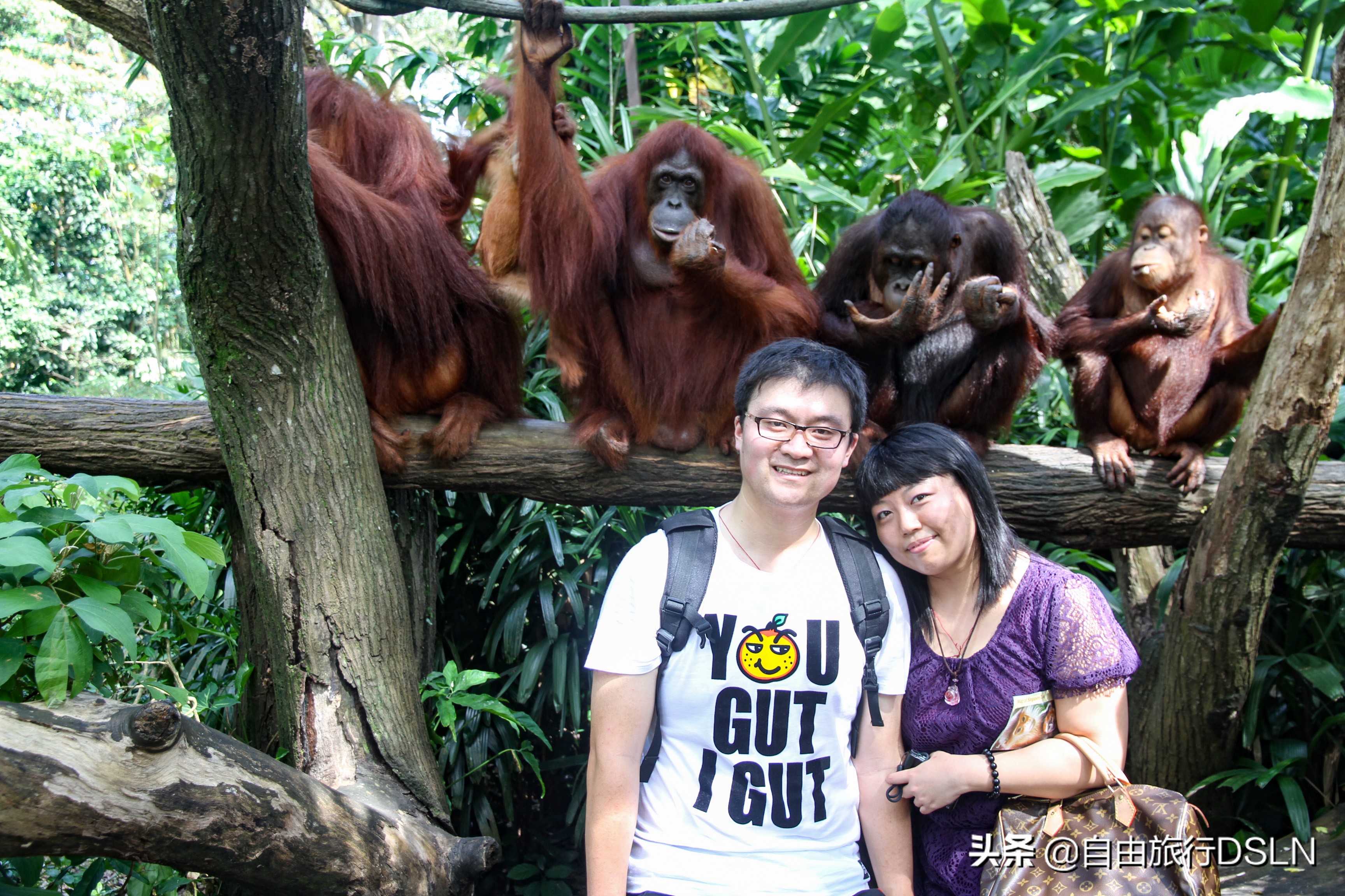 我们夫妻的身体变形记,减肥来之不易,恶心自己高兴别人