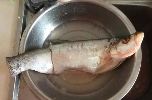 黑龙江五大名鱼,黑龙江最顶级的鱼