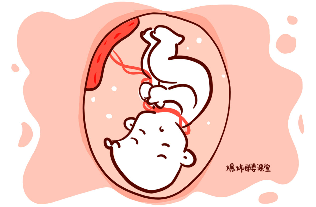 生了孩子以后胎盘能吃吗,生完小孩后胎盘有什么用