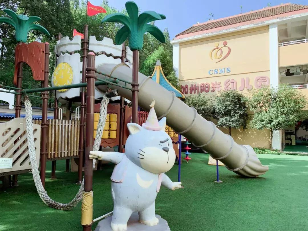 考察蒙氏幼儿园需要了解什么,蒙氏幼儿园东北探园