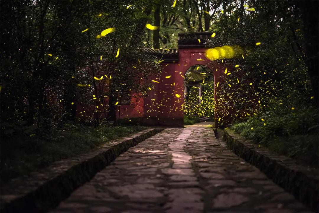 南京是属于哪个省的,南京是现在的哪个城市