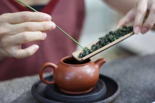 茶道全流程,一步一步教你学茶道