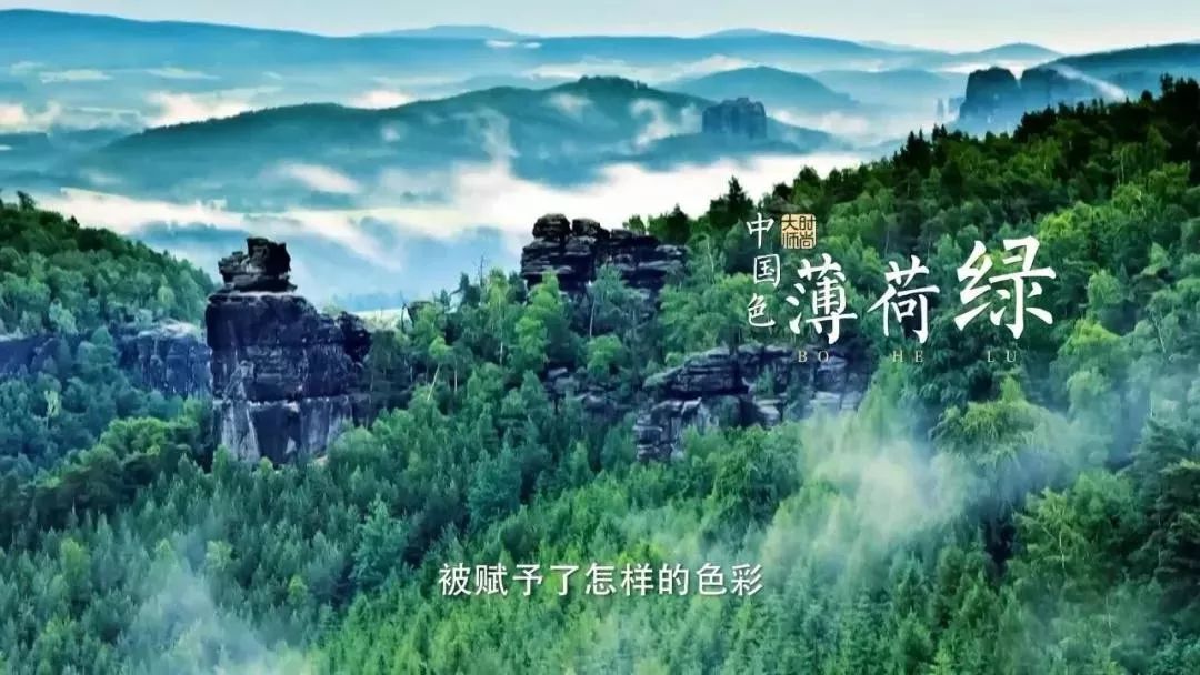 海棠花红叶子,海棠红褐色叶子