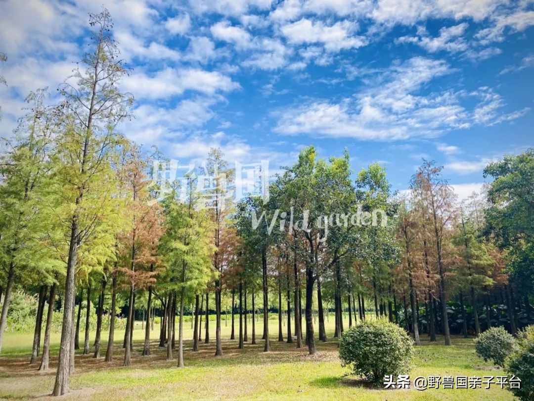 松山湖风景区松湖烟雨是哪个门,松山湖景区松湖烟雨有哪些好玩的