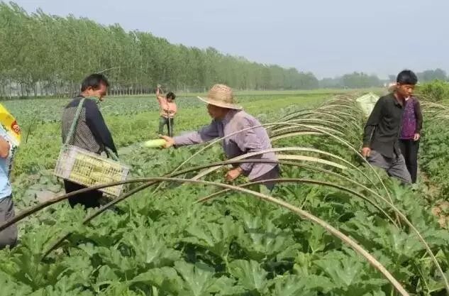 家庭农场怎么注册最好,家庭农场怎样能获批大的贷款