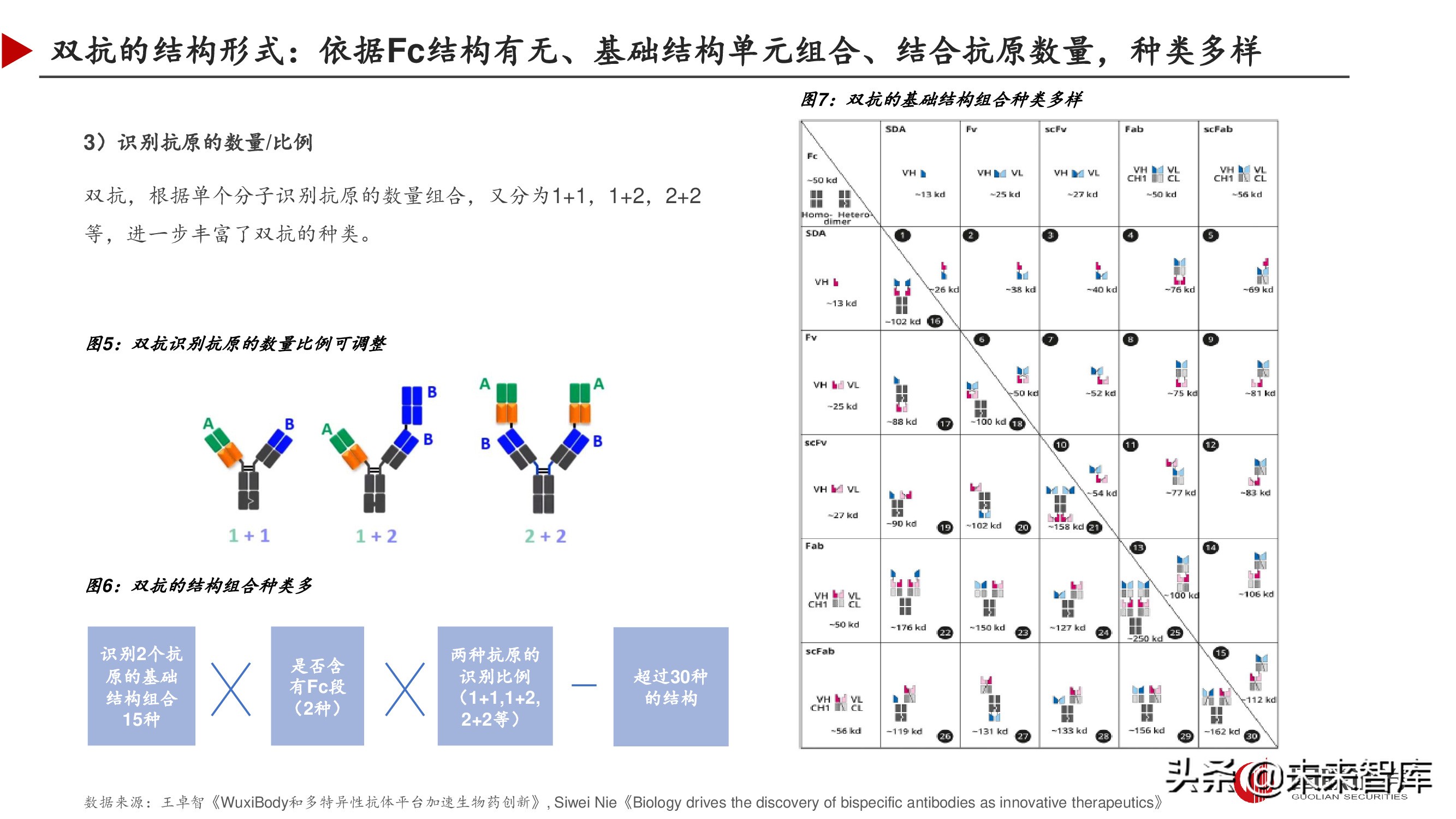 双特异性抗体行业深度研究报告,双抗临床进展