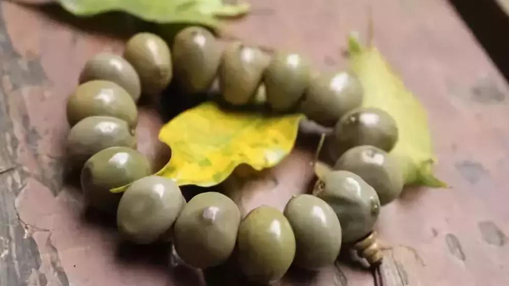 所有菩提手串大展示,菩提手串大全视频