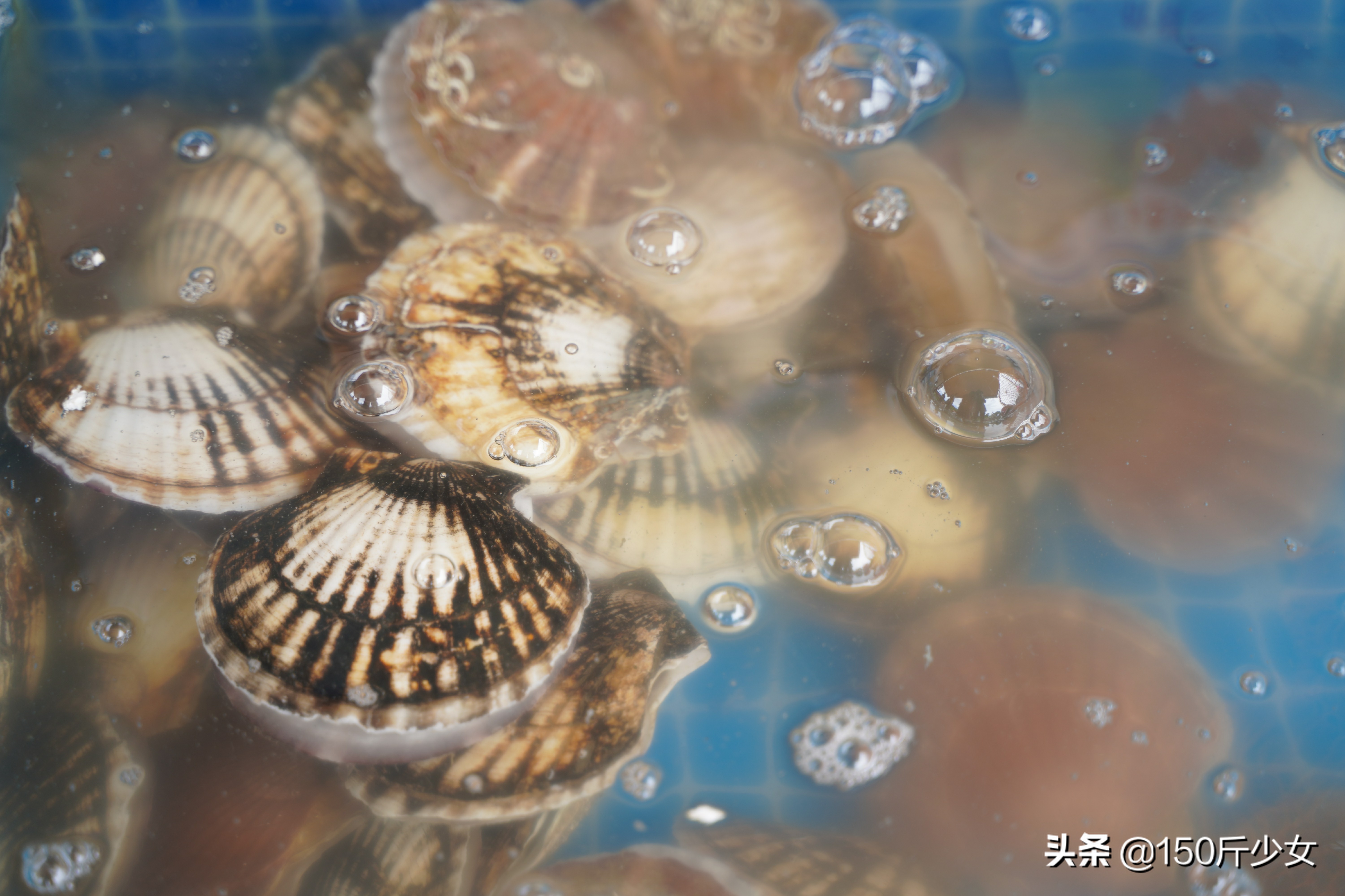 想念三亚的阳光和沙滩海浪,三亚期盼已久的大海