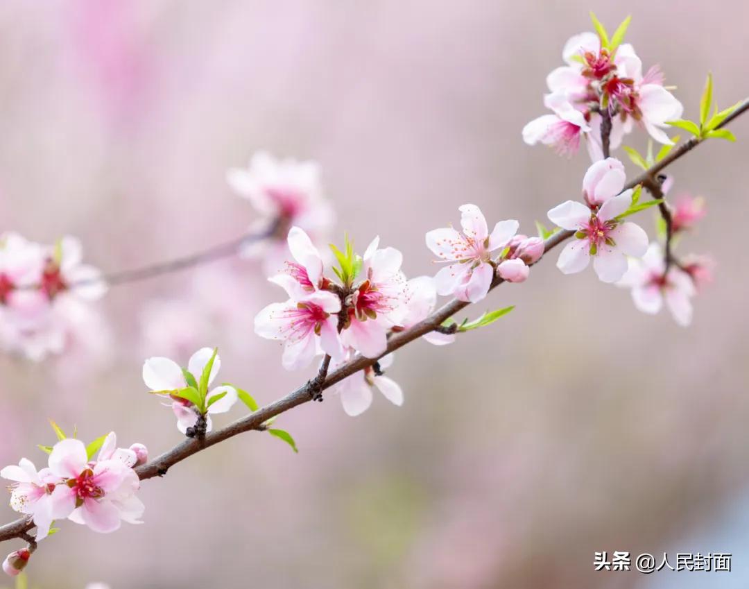 太湖骑行步道,无锡太湖骑行绿道