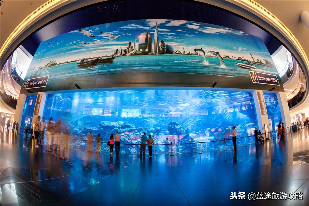 去迪拜不能错过的十件事,去迪拜必须体验的十件事