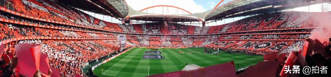 手机摄影天花板机型,手机摄影爱生活