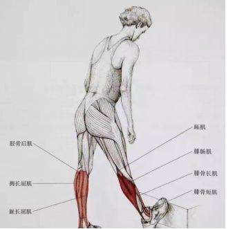 想要瘦腿又细又直的方法,想瘦腿的练起来