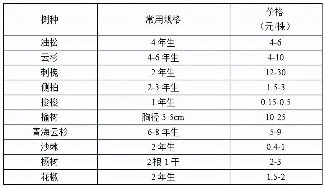苗木市场前景预测2017,2023年下半年苗木价格报告