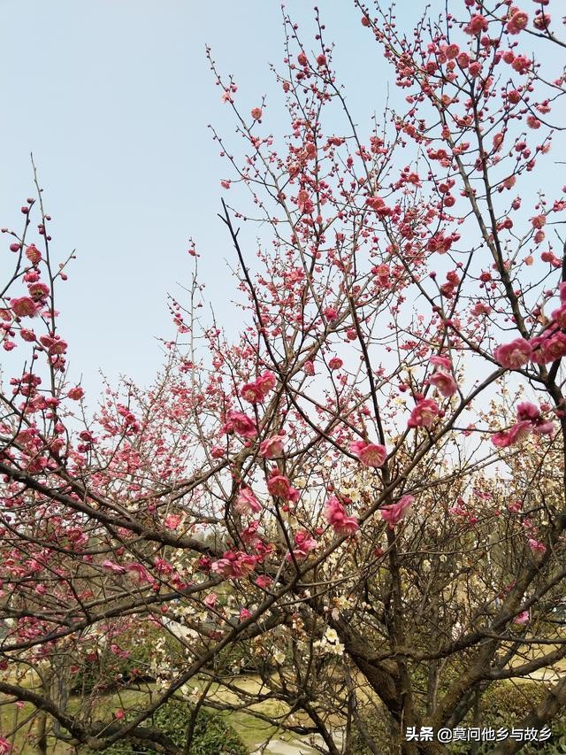 雅马哈巧格300公里首保,雅马哈巧格3万公里后综合油耗