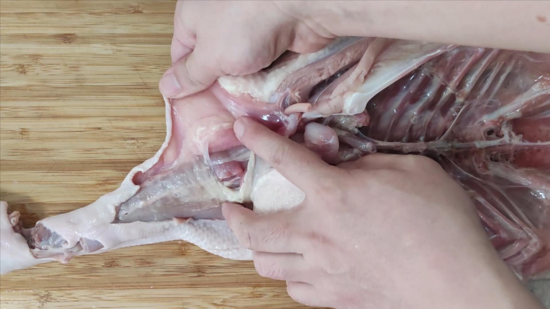 六种疾病不能吃鸡鸭,鸭有6个部位毒素最重建议要少吃