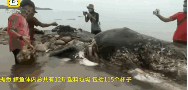 台风烟花过后留下惊人的一幕,台风烟花结局