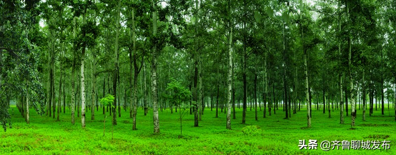 冠县城市新貌,美丽中国之山东聊城冠县