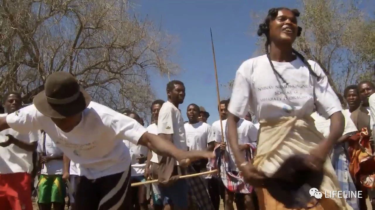 龟中“考拉”，请别让我们的孩子在博物馆见到它们...