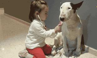 老婆包里发现的卡,老婆牙疼的特效药