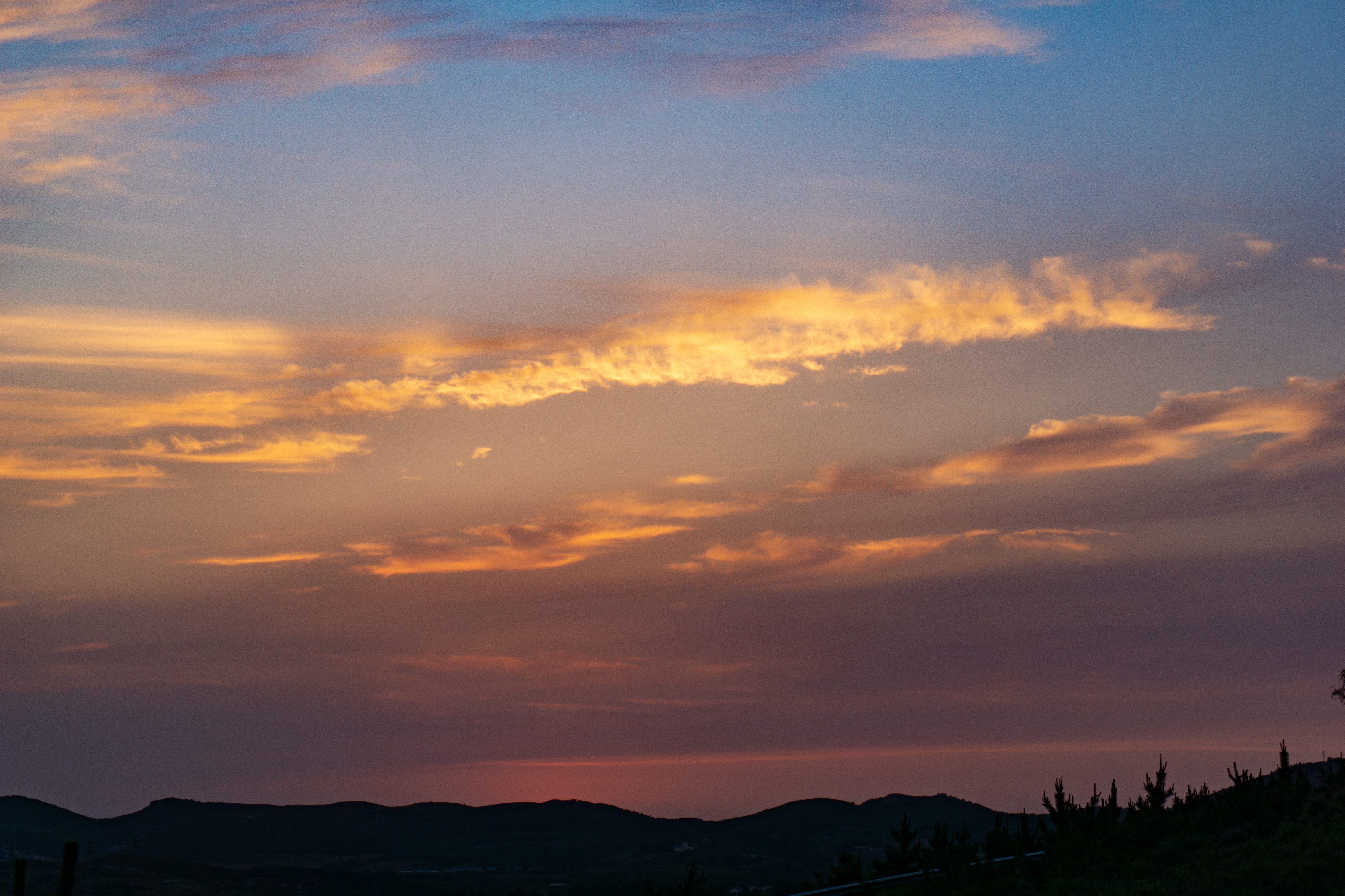 诸城人文地理,山东诸城有什么名胜