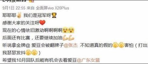 李月汝女篮择偶标准,足球运动员王霜