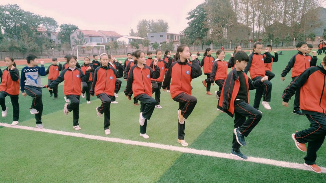 舞蹈纳入美育中考,舞蹈纳入中考成绩的艺术类吗