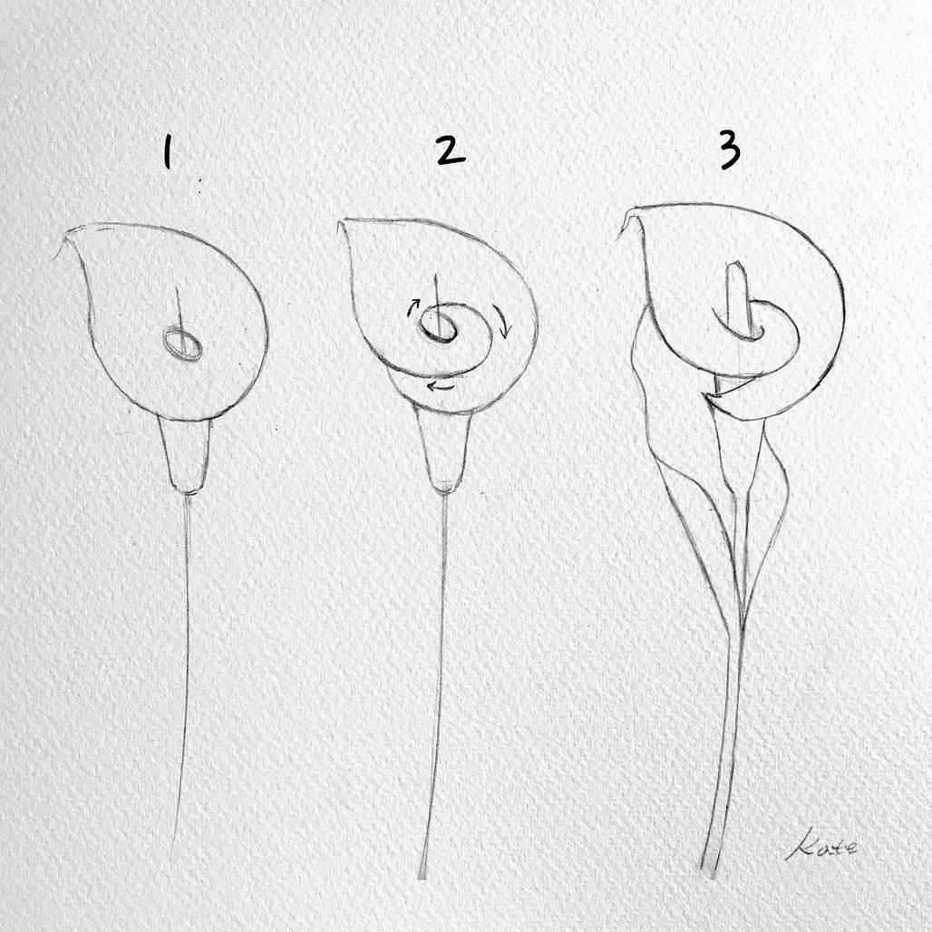 一分钟教你简单画花,简单的花卉图教程