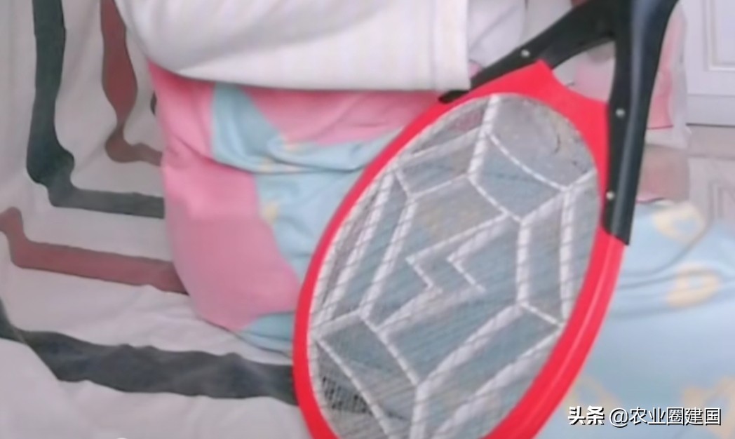 果蝇消灭干净小妙招没有洗洁精,果蝇太多怎么消灭最快最有效