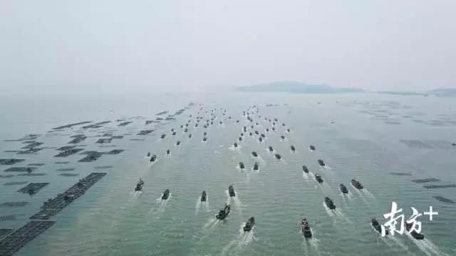 看饿了!南海开渔,佛山人去这些地方吃到high