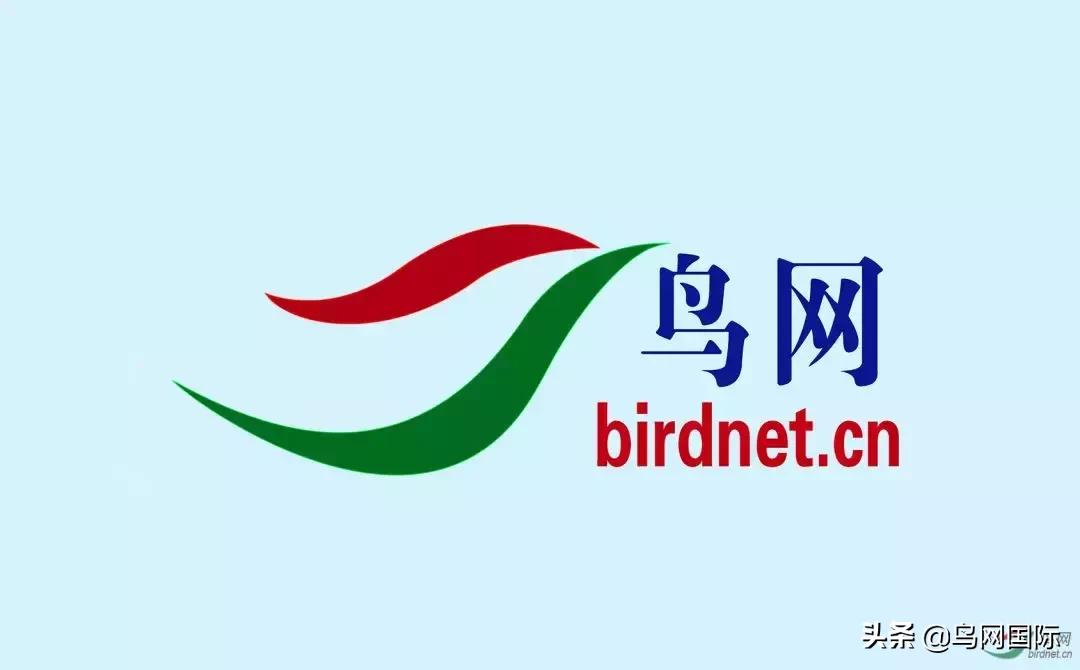 鸟网关于对首页精华图片入选进行投票的通知