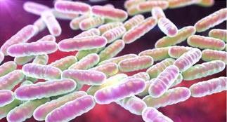 怎么鉴定我们肠道菌群是否健康？