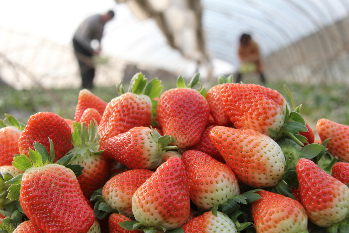 孟州市什么时间撤县建市,国家为什么要大力发展开封