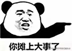 为啥会有这么多人被骗,为啥还有那么多人被骗