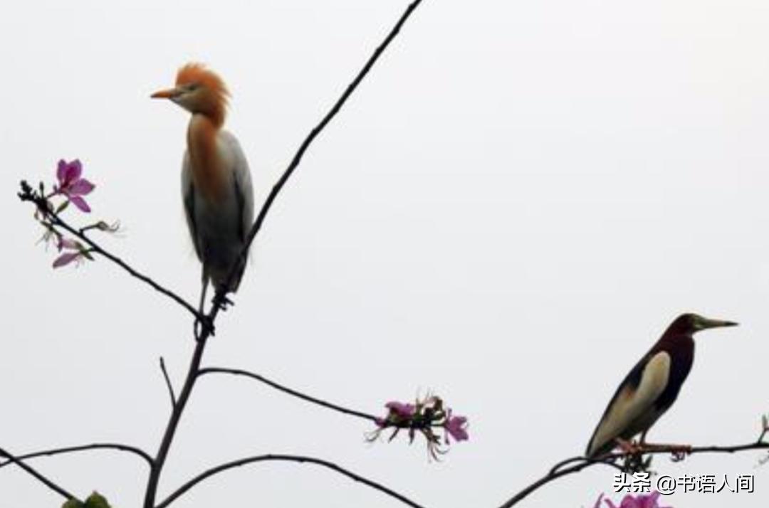 成年友谊的19个真相：没谁离不开谁，聊得来就聊，聊不来就拉倒