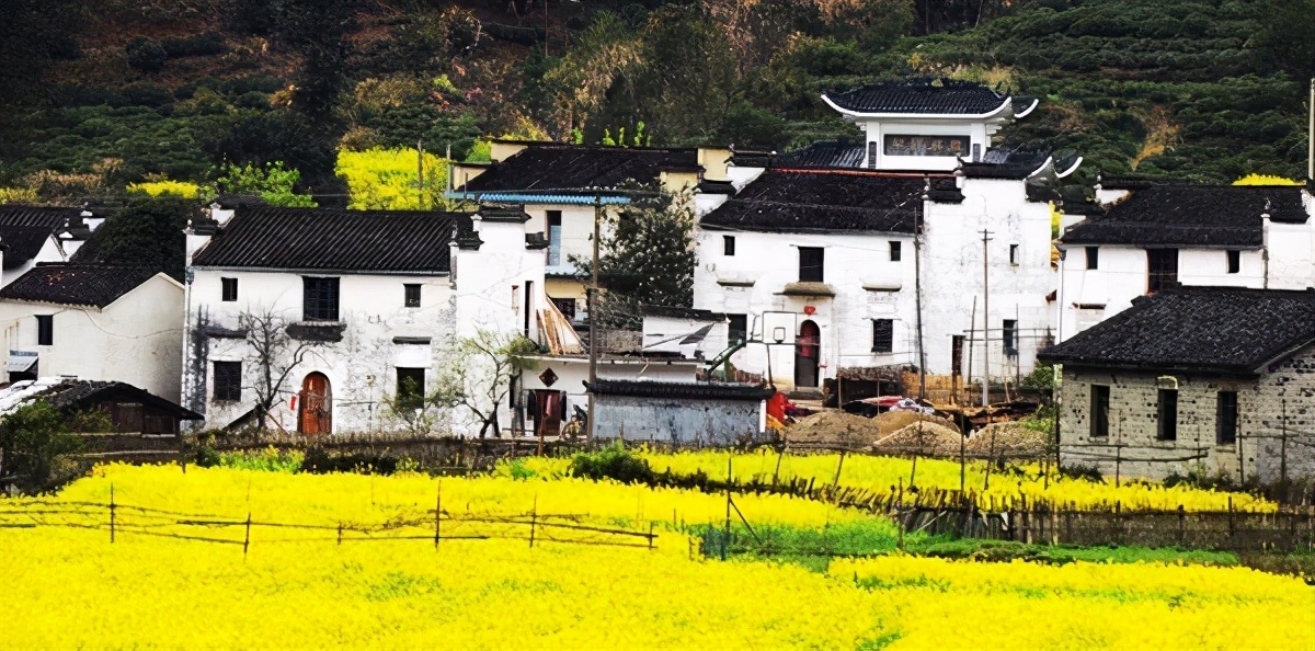 最适合冬天去的旅行城市,最适合春天旅行的城市