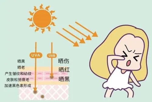 容易晒黑的人怎么防止晒黑,为什么有些人喜欢被晒黑