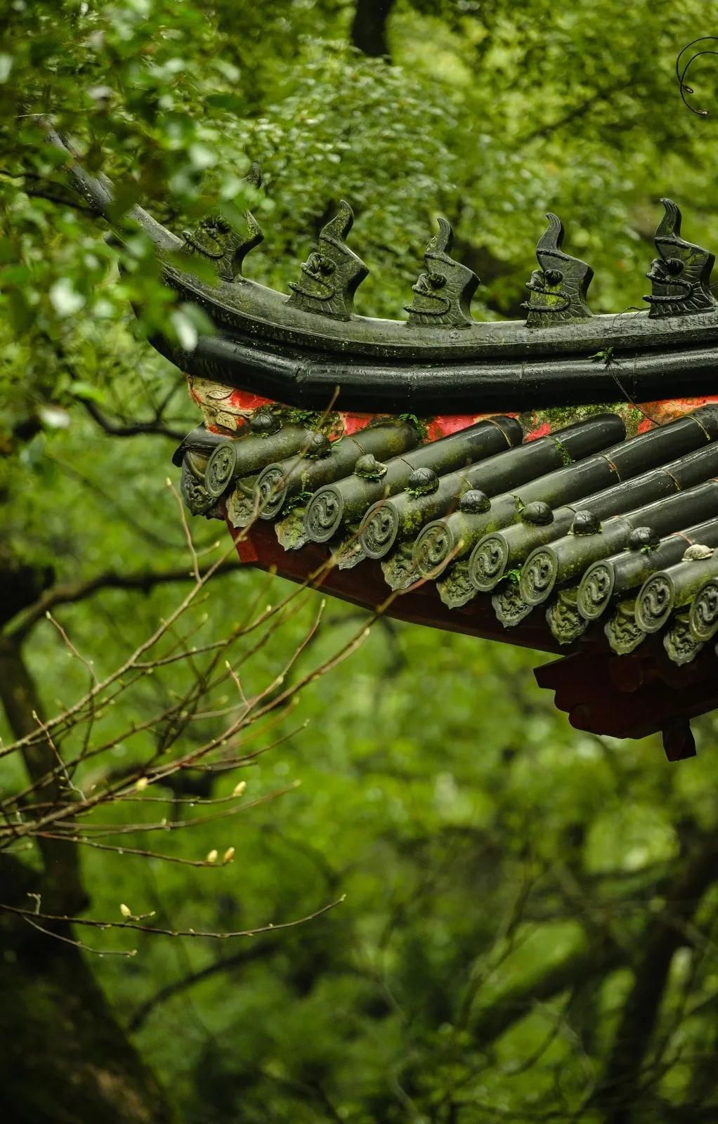 晨昏暮色正苏醒，这是我爱的舟山