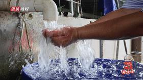 一条鱼在锅里煮的做法,一条鱼在各地的吃法