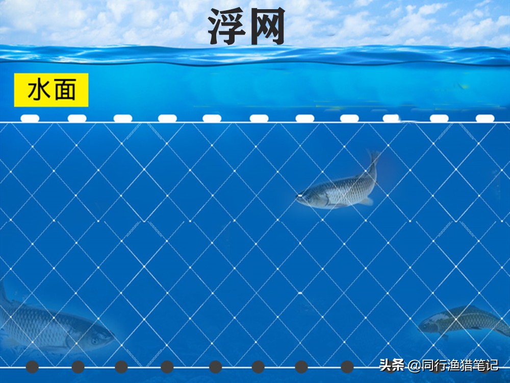 粘网捕鱼怎样下网小河,粘网捕鱼怎样下网分解图