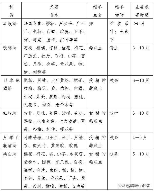 常见园林草坪病虫害杀菌剂有哪些,园林植物常见病虫害ppt