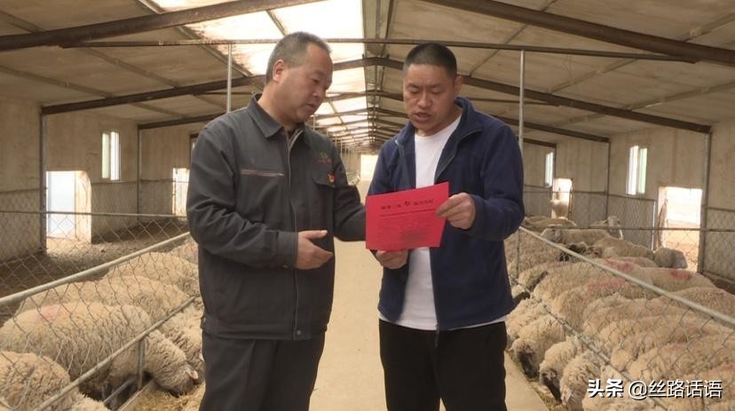 人勤春来早农机视频,人勤春来早菜农备种迎春耕