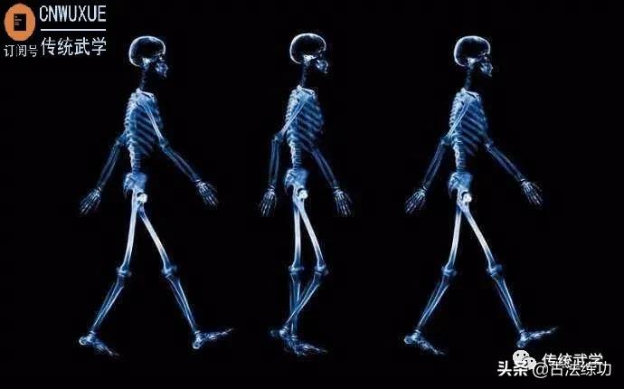 髋关节矫正,如何保护髋关节