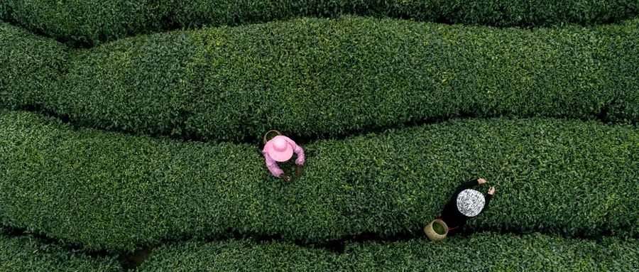 资本放大你的欲望,资本让你死心塌地