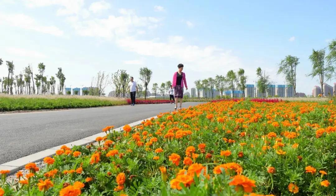 津南区打架,津南区打架视频