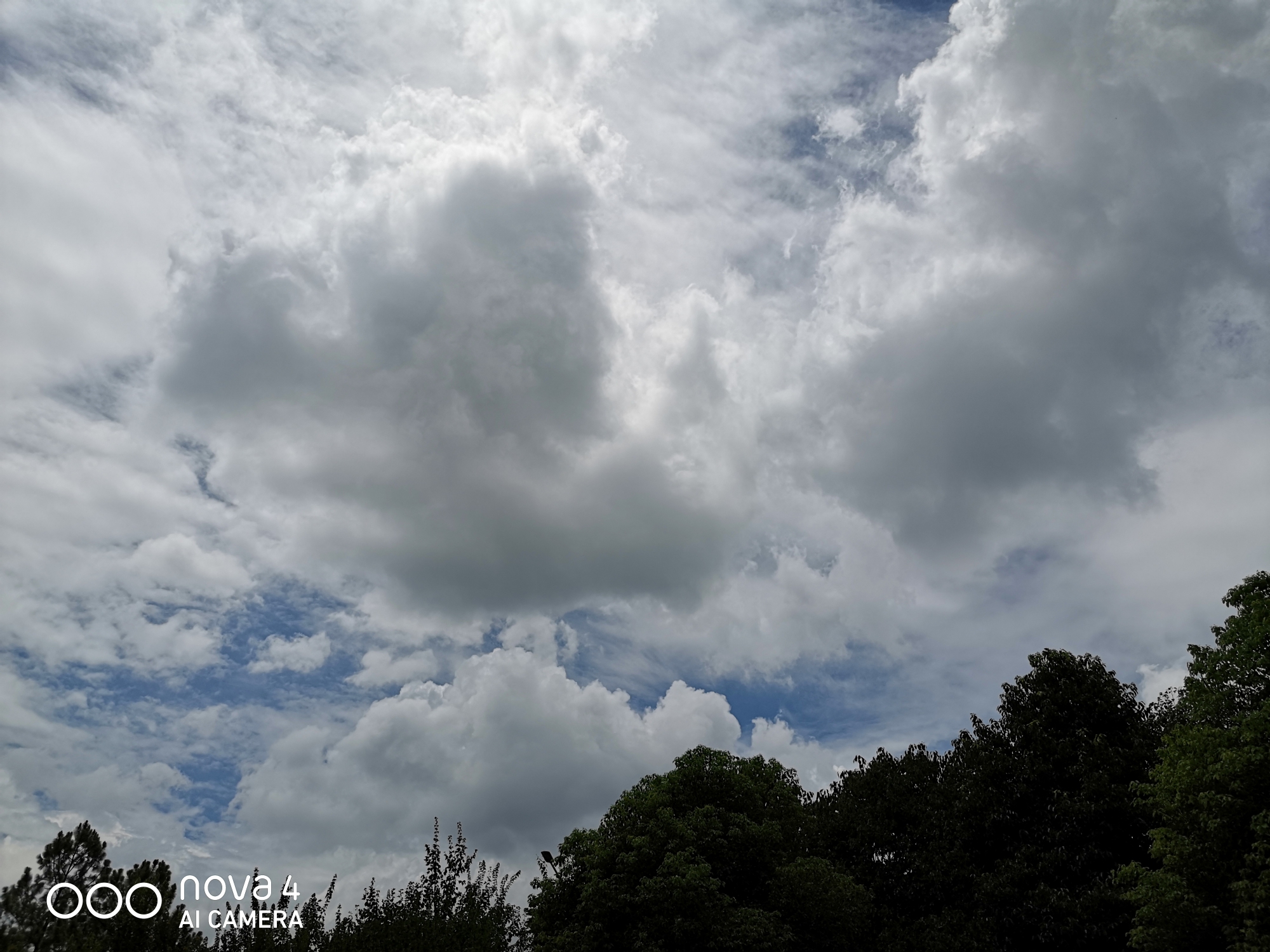 华为nova4为何依旧热销？4大拍照体验告诉你