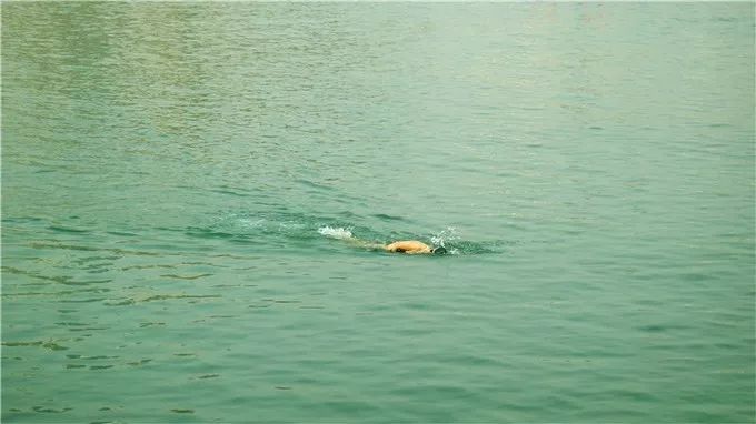 大连回到20年前,大连回到了故乡烟台