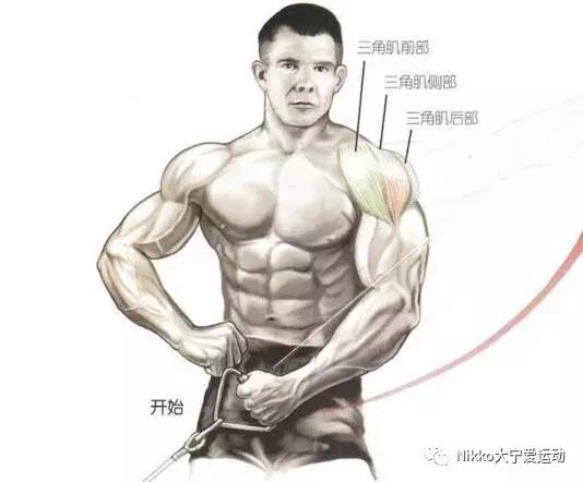 怎么减掉斜方肌变成一字肩,女人天鹅颈怎么练出来