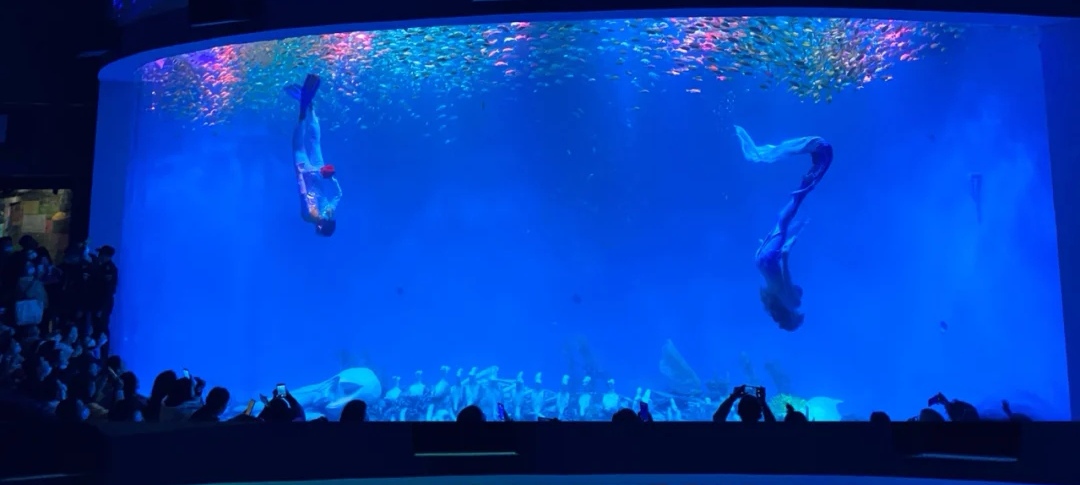 合肥周边亲子网红度假山庄,合肥适合亲子旅游的地方