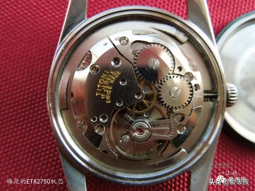 褪尽铅华也从容——记我的一部分老表们：梅花、罗马、老上海